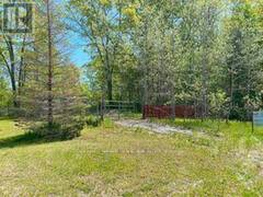 3987 COUNTY ROAD 6 North Kawartha Ontario, K0L 2H0