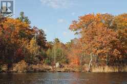 LOTS123 - C280 LOWER BUCKHORN LAKE | Galway-Cavendish and Harvey Ontario | Slide Image Eleven