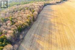 CON 7PT LOT 7 CENTURY FARM ROAD | Kawartha Lakes Ontario | Slide Image Eight