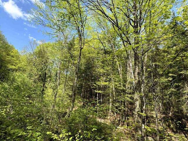 0 SALMON TROUT LAKE ROAD Bancroft Ontario, K0L 1C0 - Vacant Land For Sale