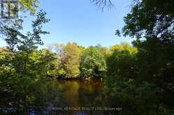 3 BASSWOOD DRIVE | Kawartha Lakes Ontario | Slide Image Twelve