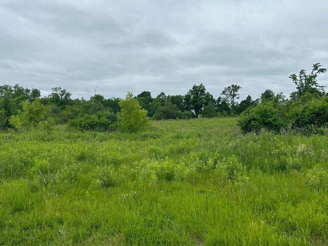 290 CROFTS ROAD Marmora Ontario, K0K 2M0 - Vacant Land For Sale