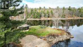 18 - 1579 ANSTRUTHER LAKE ROAD | North Kawartha Ontario | Slide Image Thirty-six