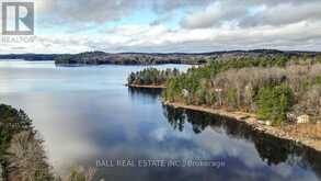 18 - 1579 ANSTRUTHER LAKE ROAD | Apsley Ontario | Slide Image Thirty-one