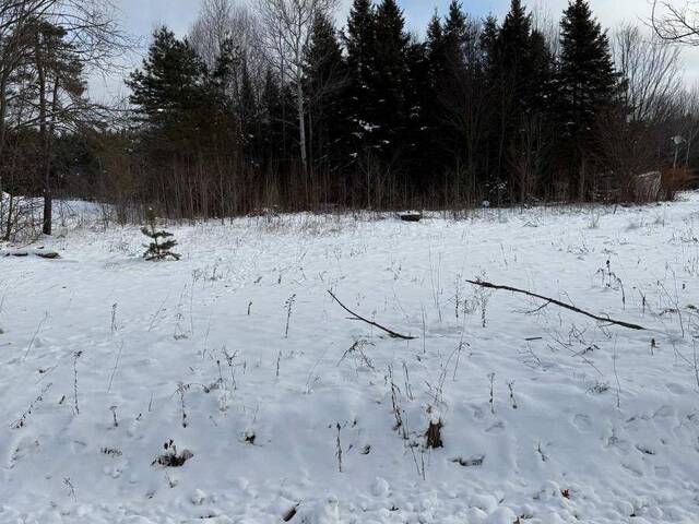 3995 BOULTER ROAD Bancroft Ontario, K0L 1C0 - Vacant Land For Sale