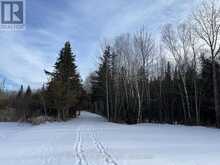 1907 COUNTY RD 46 | Havelock-Belmont-Methuen Ontario | Slide Image Twenty-one