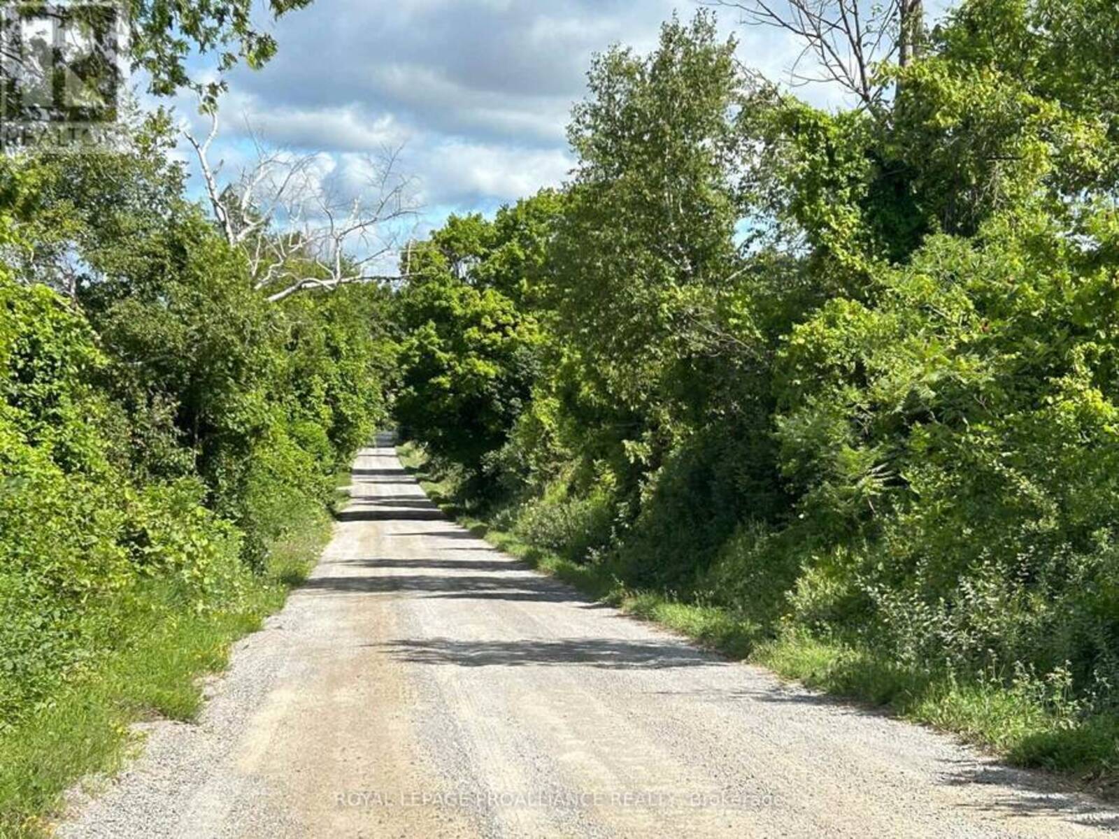 PT LT 7 BROOK ROAD, Alnwick-Haldimand, Ontario K0K 2X0