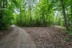 0 MILL LINE ROAD | Trent Lakes Ontario | Slide Image Five