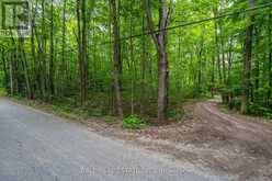 0 MILL LINE ROAD | Trent Lakes Ontario | Slide Image Six