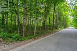 0 MILL LINE ROAD | Trent Lakes Ontario | Slide Image Seven