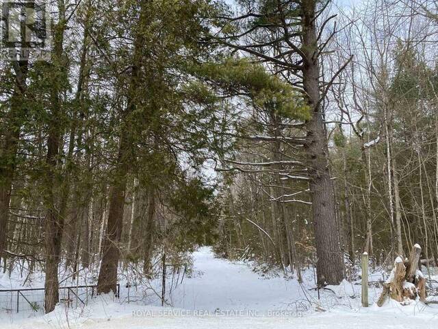 PT LT 2 6TH LINE, CTY RD 65 ROAD Newtonville Ontario, L0A 1J0 - Vacant Land For Sale