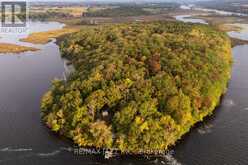 0 JUBILEE ISLAND | Otonabee-South Monaghan Ontario | Slide Image Three