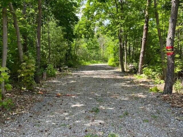 6192 COUNTY RD 50 Campbellford Ontario, K0L 1L0 - Vacant Land For Sale