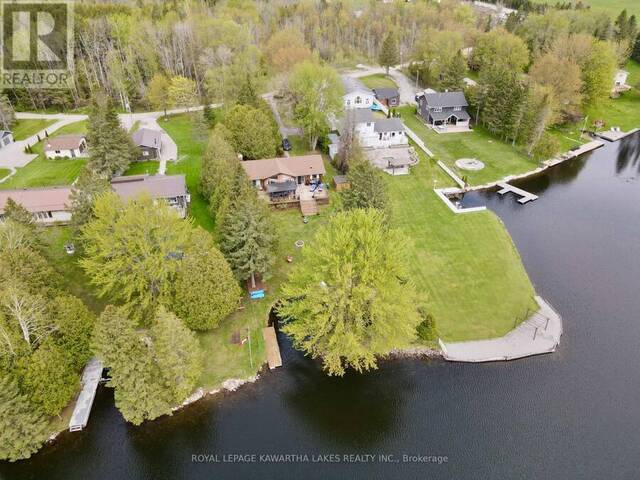 21 TRENT VIEW ROAD Kawartha Lakes Ontario, K0M 2B0 - 4 Bedrooms Waterfront Home For sale