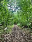 N/A BOUNDARY ROAD | Scugog Ontario | Slide Image Three