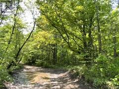 N/A BOUNDARY ROAD Scugog Ontario, L9L 1B3