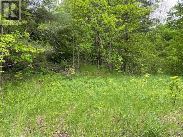 1915 COUNTY ROAD 48 ROAD Havelock-Belmont-Methuen Ontario, K0L 1Z0 - Vacant Land For Sale