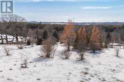 5207 GOOSE CREEK ROAD | Alnwick-Haldimand Ontario | Slide Image Forty-six