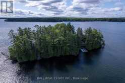 25 GARDEN ISLAND | Apsley Ontario | Slide Image Fourteen