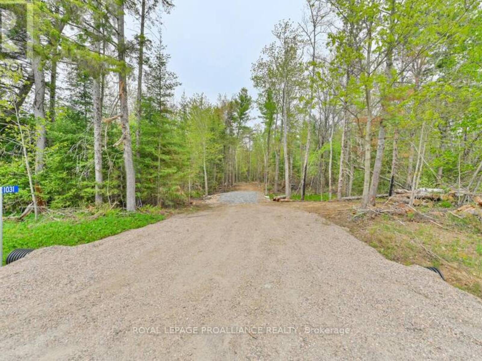 1031 ROAD 506, Addington Highlands, Ontario K0H 1K0