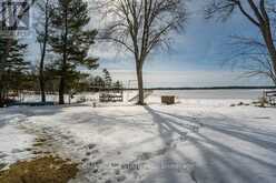 79 HULLS ROAD | North Kawartha Ontario | Slide Image Thirty-seven