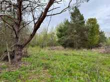 . RUTHERFORD ROAD | Alnwick-Haldimand Ontario | Slide Image Ten