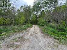 . RUTHERFORD ROAD | Alnwick-Haldimand Ontario | Slide Image Twelve