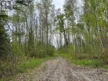 . RUTHERFORD ROAD | Alnwick-Haldimand Ontario | Slide Image Two