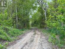 . RUTHERFORD ROAD | Alnwick-Haldimand Ontario | Slide Image Three