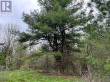 . RUTHERFORD ROAD | Alnwick-Haldimand Ontario | Slide Image Five