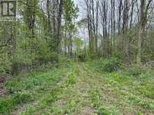 . RUTHERFORD ROAD | Alnwick-Haldimand Ontario | Slide Image Seven
