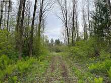 . RUTHERFORD ROAD | Alnwick-Haldimand Ontario | Slide Image Eight