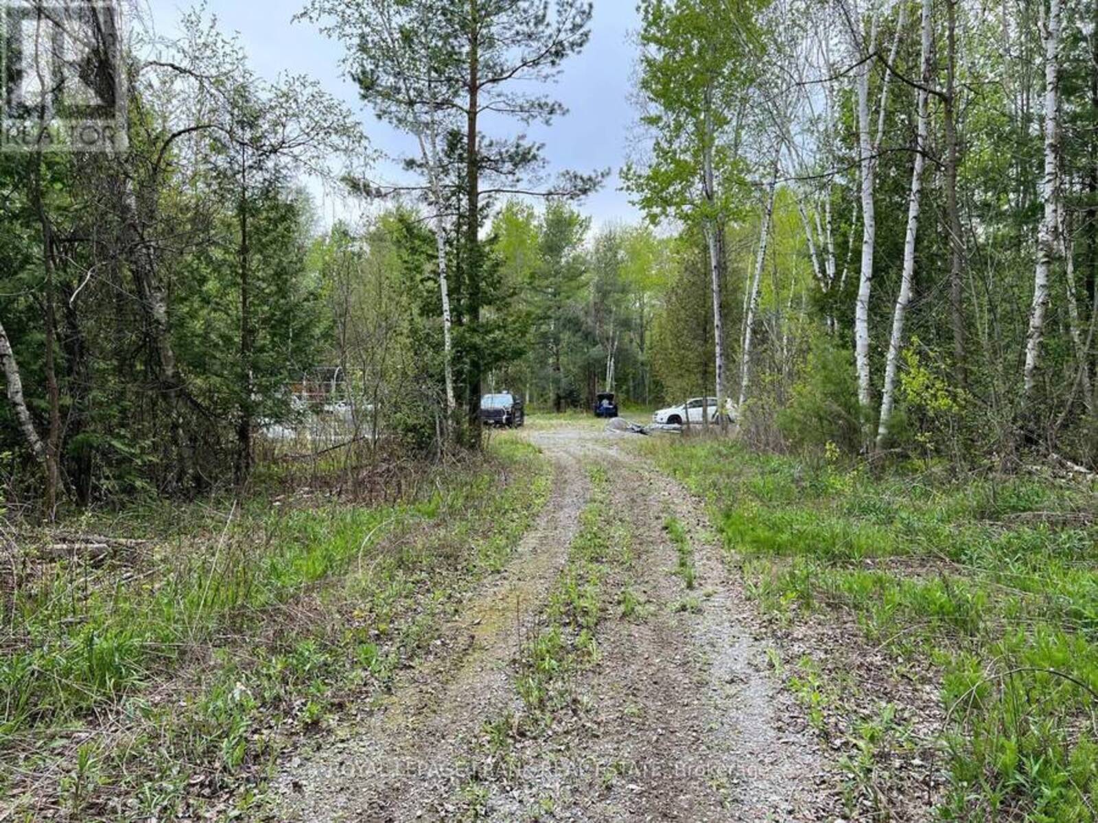 . RUTHERFORD ROAD, Alnwick-Haldimand, Ontario K0K 1S0