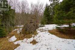 0 UNOPENED ROAD ALLOWANCE | Bancroft Ontario | Slide Image Five