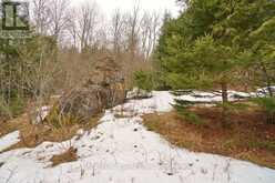 0 UNOPENED ROAD ALLOWANCE | Bancroft Ontario | Slide Image Six