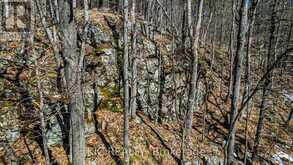 0 HINCHINBROOKE RD N ROAD | South Frontenac Ontario | Slide Image Seventeen