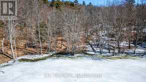 0 HINCHINBROOKE RD N ROAD | South Frontenac Ontario | Slide Image Nineteen