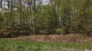 00 BIRCHVIEW ROAD | North Kawartha Ontario | Slide Image Five