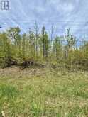 00 BIRCHVIEW ROAD | North Kawartha Ontario | Slide Image Seven