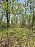 00 BIRCHVIEW ROAD | North Kawartha Ontario | Slide Image Eight