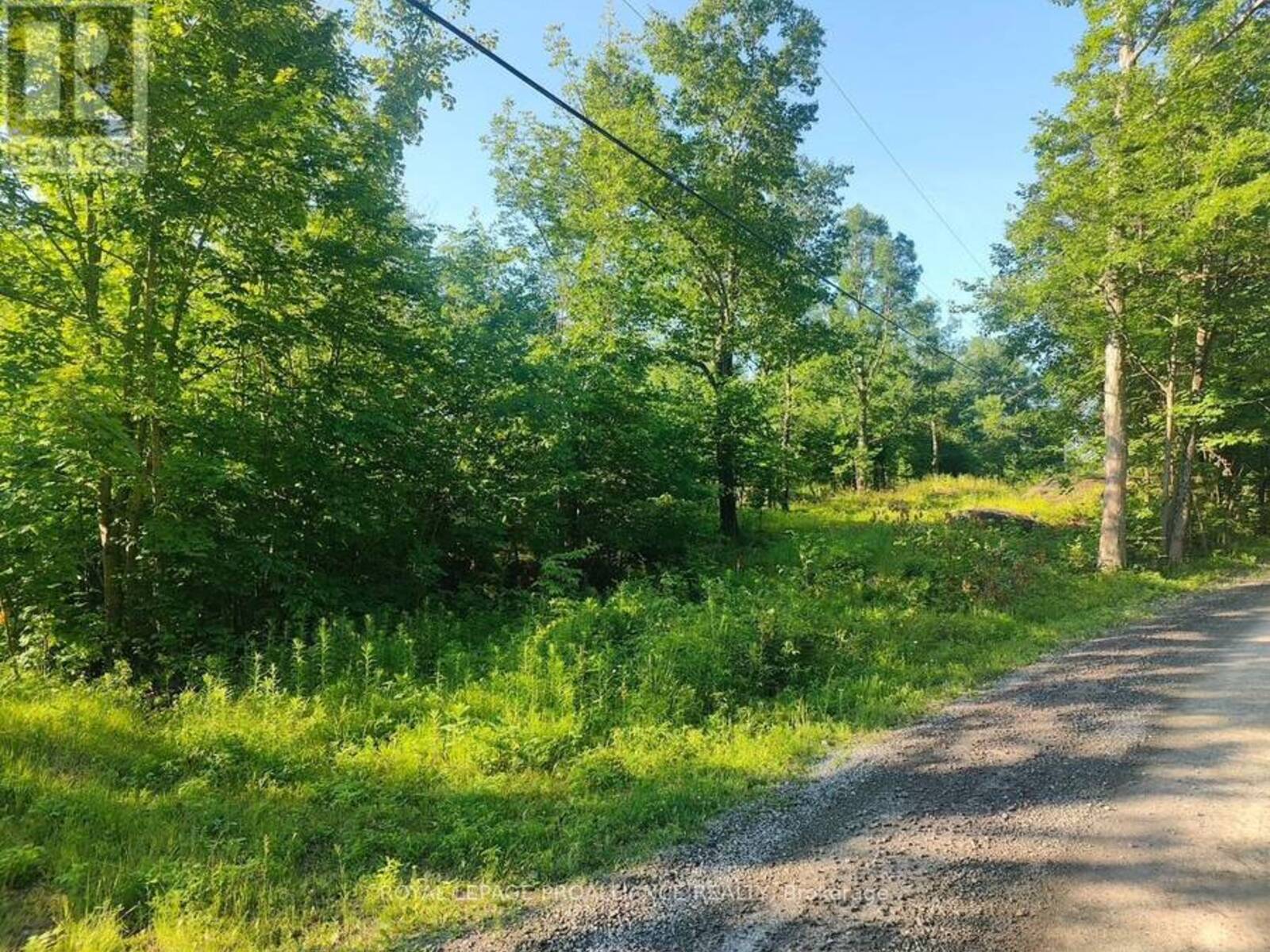 621A COOK ROAD, Marmora, Ontario K0K 2M0