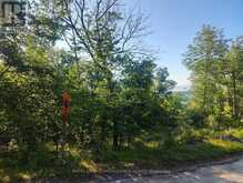 621B COOK ROAD | Marmora Ontario | Slide Image Eight