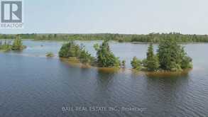 PT LT 1 CON 5 ISLAND | Kawartha Lakes Ontario | Slide Image Ten