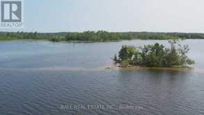 PT LT 1 CON 5 ISLAND | Kawartha Lakes Ontario | Slide Image Fourteen
