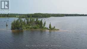 PT LT 1 CON 5 ISLAND | Kawartha Lakes Ontario | Slide Image Fifteen