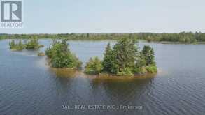 PT LT 1 CON 5 ISLAND | Kawartha Lakes Ontario | Slide Image Eighteen