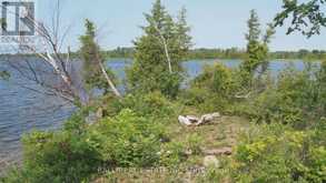 PT LT 1 CON 5 ISLAND | Kawartha Lakes Ontario | Slide Image Nineteen