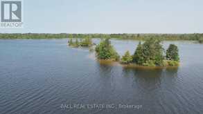 PT LT 1 CON 5 ISLAND | Kawartha Lakes Ontario | Slide Image Eight