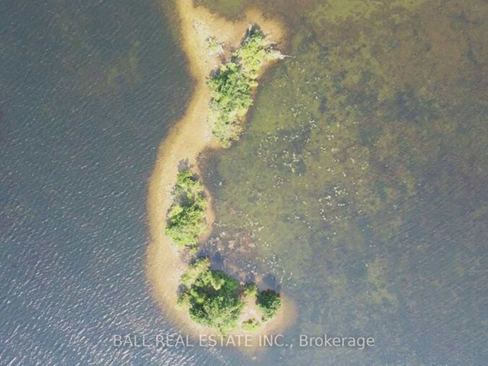 PT LT 1 CON 5 ISLAND, Kawartha Lakes, Ontario K0M 2B0