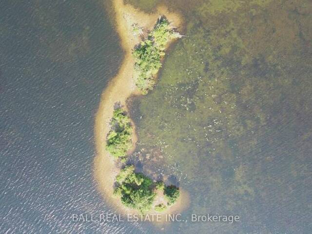 PT LT 1 CON 5 ISLAND Kawartha Lakes Ontario, K0M 2B0 - Waterfront Home For sale